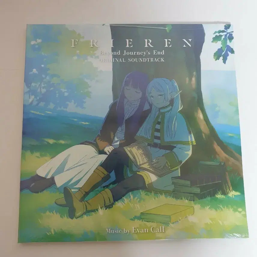 [BUNJANG] Frieren: Beyond Journey&