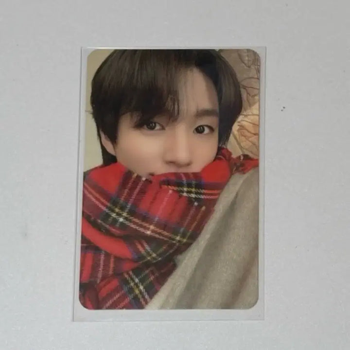 [BUNJANG] NCT Jeno Christmas Scarf Photocard Bundle Set / 제노 크리스마스 목도리 포카 일괄