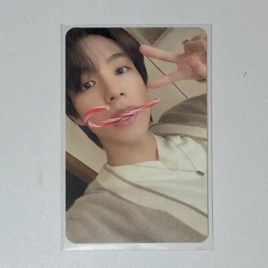 [BUNJANG] NCT Jeno Christmas Scarf Photocard Bundle Set / 제노 크리스마스 목도리 포카 일괄