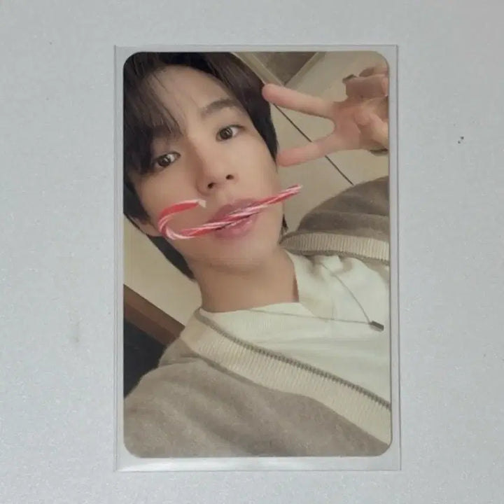 [BUNJANG] NCT Jeno Christmas Scarf Photocard Bundle Set / 제노 크리스마스 목도리 포카 일괄