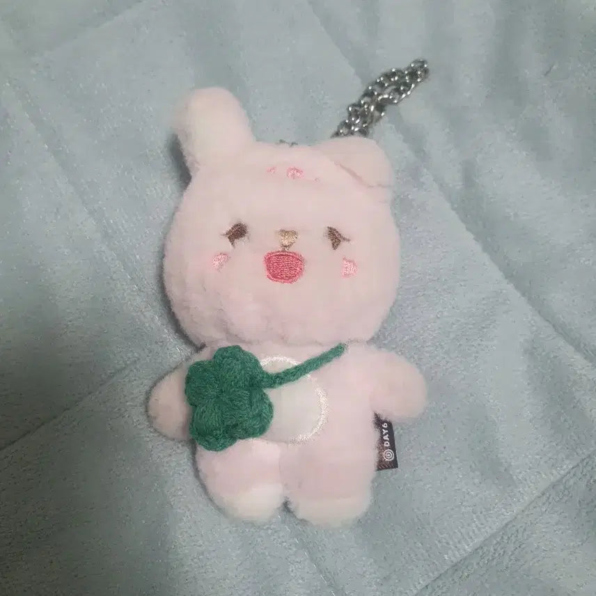 [BUNJANG] DAY6 DAYMELS Phil Doll / 데이식스 데이멀즈 필 인형.