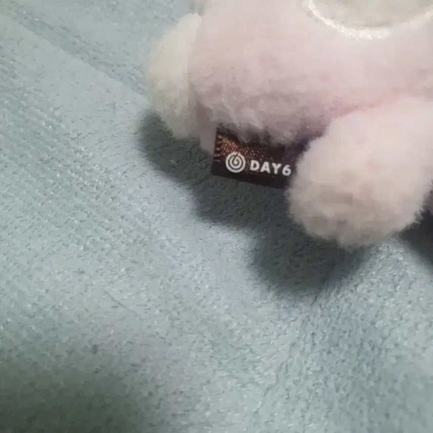 [BUNJANG] DAY6 DAYMELS Phil Doll / 데이식스 데이멀즈 필 인형.