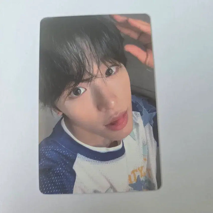 [BUNJANG] NCT WISH Riku Songbird Musicart POB Photocard / 엔시티위시 리쿠 송버드 뮤직아트 특전 포토카드 양도