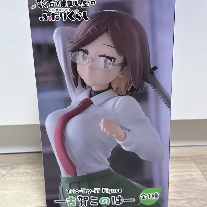 [BUNJANG] FURYU Noto Hama Koga Konoha Figure / [미개봉] 후류 피규어 닌자와 암살자의 동거 코가 코노하