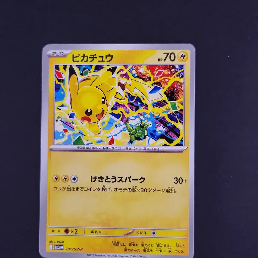 [BUNJANG] Pikachu Promo Card 