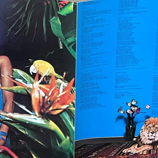 [BUNJANG] Minnie Riperton Adventures In Paradise Japanese LP / Minnie Riperton Adventures In Paradise일본