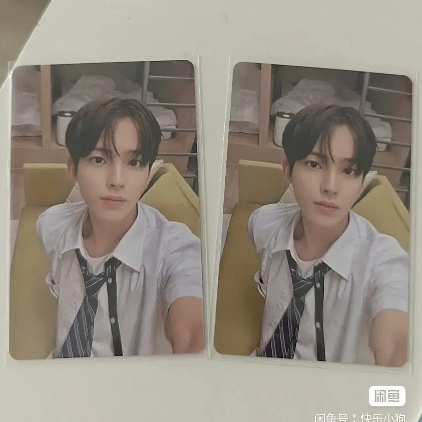 [BUNJANG] SMTR25 Shanghai Pop-up Photocard / 예판 smtr25 상하이 팝업 포카 장당