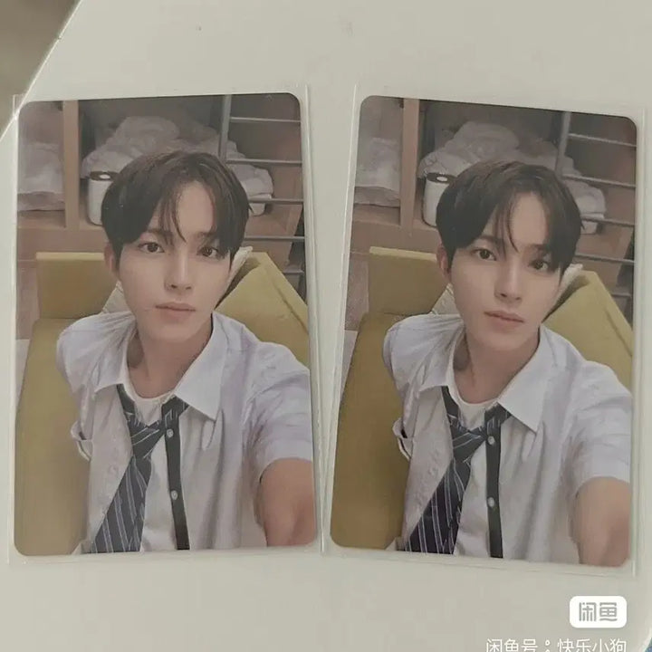 [BUNJANG] SMTR25 Shanghai Pop-up Photocard / 예판 smtr25 상하이 팝업 포카 장당