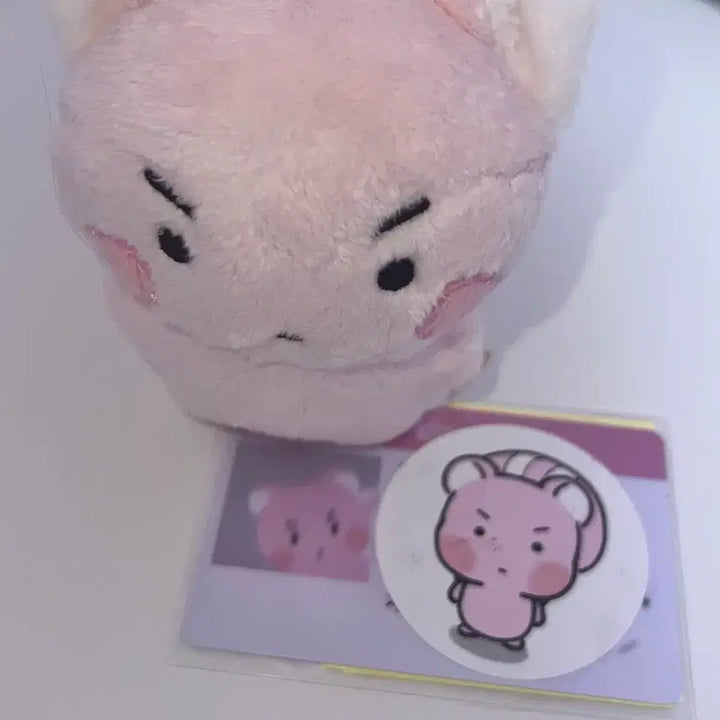 [SOLD OUT] 플레이브 밤비 은호 비공굿 인형 암긍개 암다봉 일괄 양도