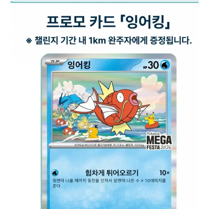 [BUNJANG] Pokemon Magikarp Promo Card Set (5 Cards) / 포켓몬 잉어킹 프로모 카드 5장 7/7 1차수령