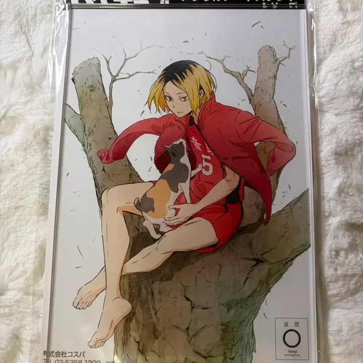 [BUNJANG] Haikyuu!! Cospa Barefoot Acrylic Stand Kenma Sealed / 하이큐 코스파 맨발 아크릴 스탠드 켄마 미개봉