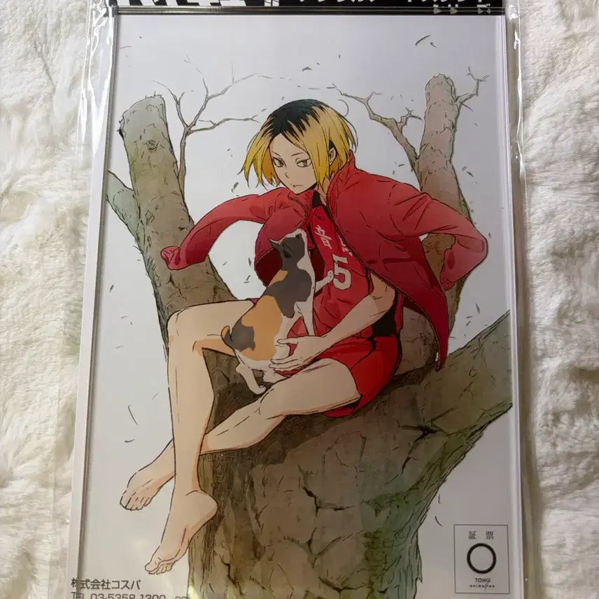[BUNJANG] Haikyuu!! Cospa Barefoot Acrylic Stand Kenma Sealed / 하이큐 코스파 맨발 아크릴 스탠드 켄마 미개봉
