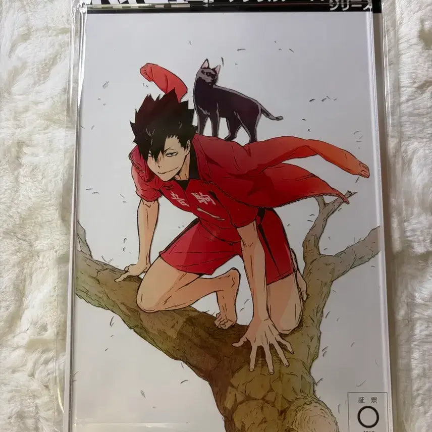[BUNJANG] Haikyuu! KOSPA Barefoot Acrylic Stand Kuroo (Sealed) / 하이큐 코스파 맨발 아크릴 스탠드 쿠로오 미개봉