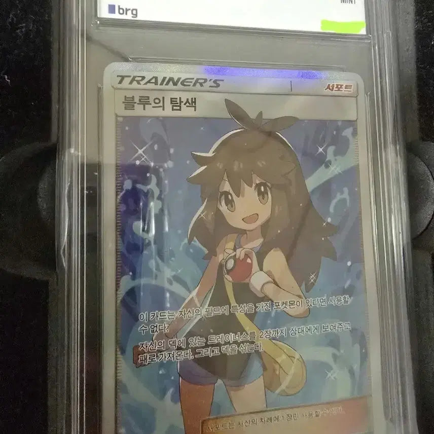 [BUNJANG] 2019 Pokemon Card Blue&