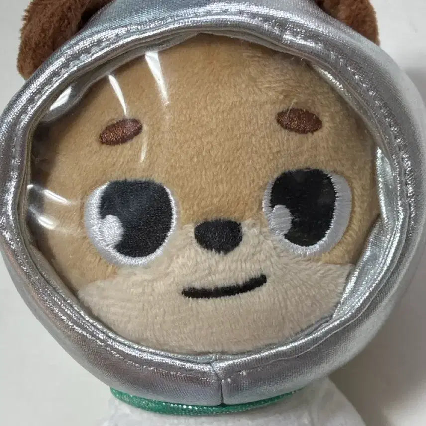 [BUNJANG] DAY6 Denimals 2019 First Edition Don Doll + Spacesuit / 데이식스 데니멀즈 2019초판 돈 인형+우주복