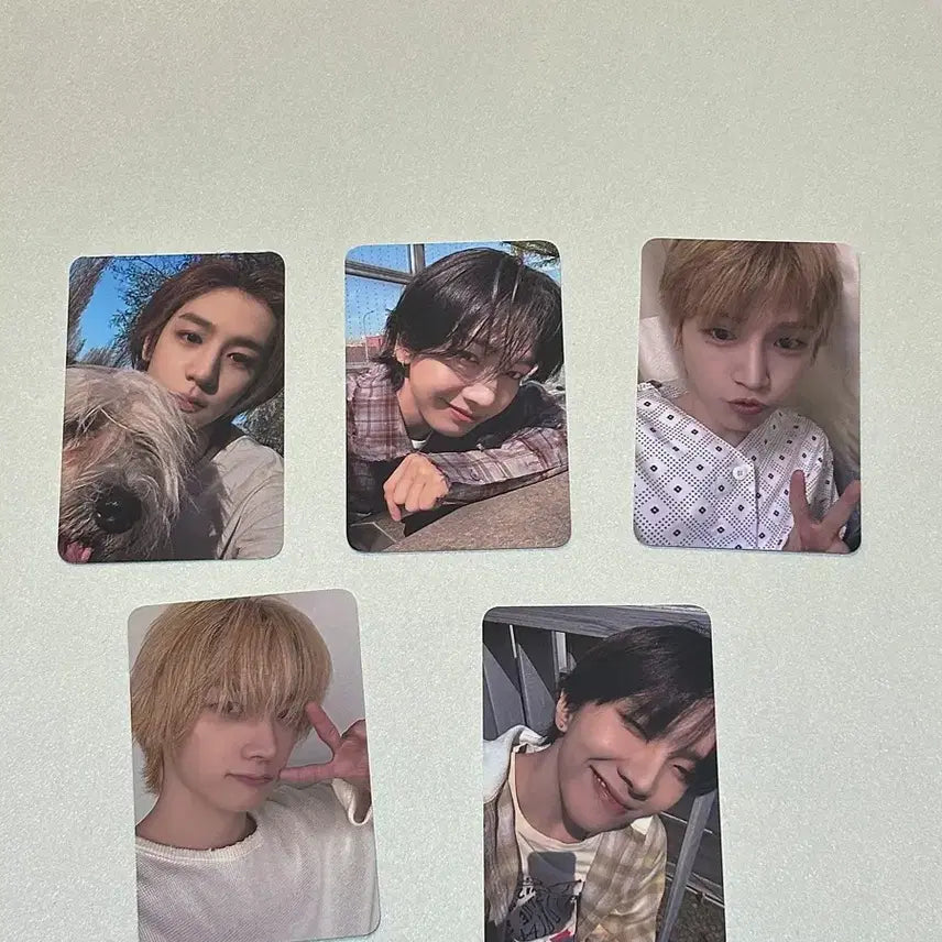 [BUNJANG] BOYNEXTDOOR Home Showcase Photocard / 보넥도Home쇼케포카