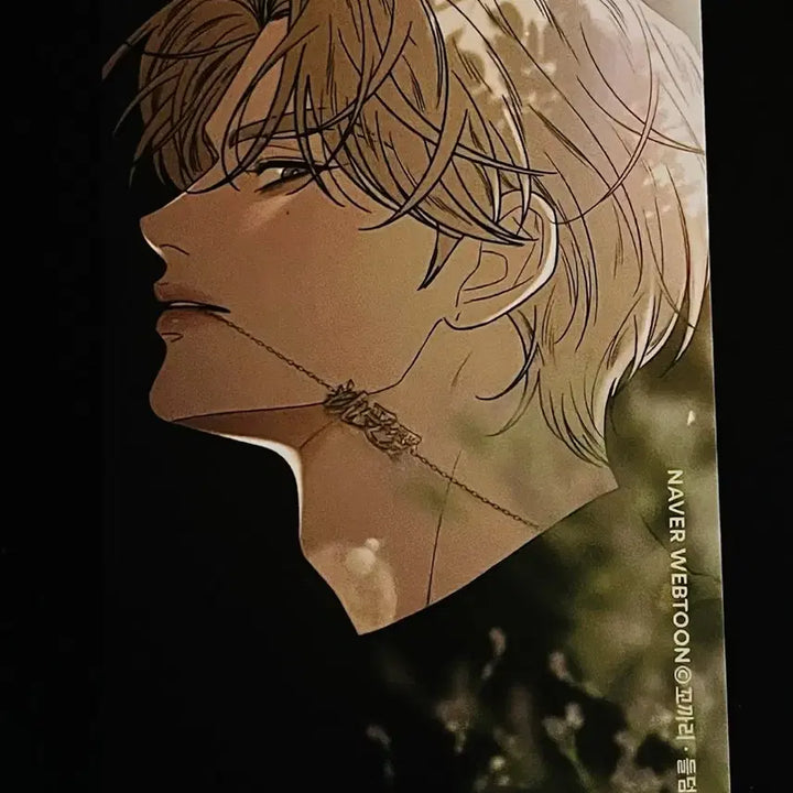 [BUNJANG] Baekhyun Celadon Necklace Photocard / 작명순 백도화 목걸이 포카