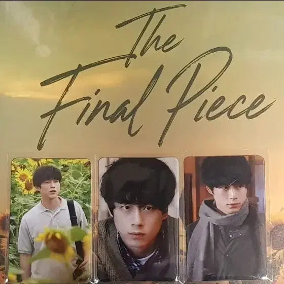 [BUNJANG] Sakaguchi Kentaro The Final Piece Photocard Set / 파이널피스 사카구치 겐타로 포토카드 일괄