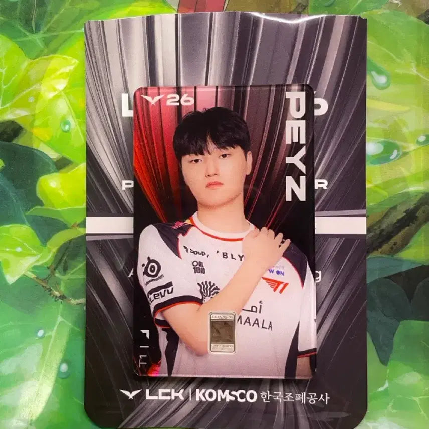[BUNJANG] T1 Peyz LCK Korea Mint Silver Card / LCK 조폐공사 실버카드 T1 Peyz 티원 페이즈