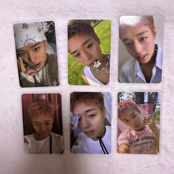 [BUNJANG] Park Ji Hoon Reflect Photocard Bundle Set / 박지훈 리플렉트 포카 일괄