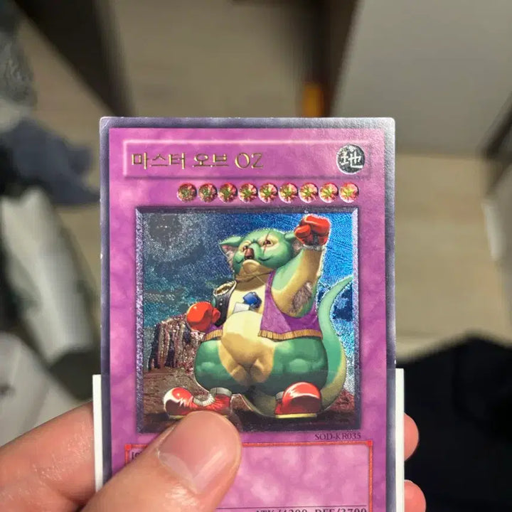 [BUNJANG] Yu-Gi-Oh! Master of Oz Ultimate Rare / 유희왕 마스터 오브 oz 얼티