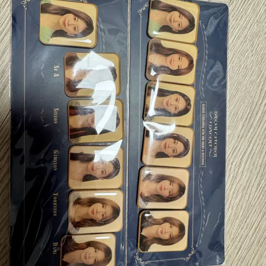 [BUNJANG] Dreamcatcher Concert Magnet Set / 드림캐쳐 dreamcatcher 마그넷