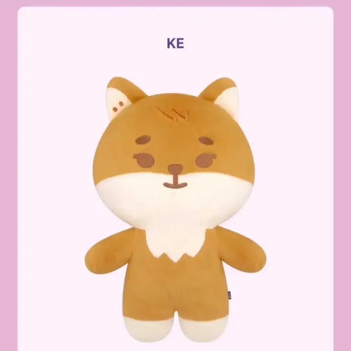 [BUNJANG] DAY6 Young K Giant Petit Merz K Doll / 데이식스 자이언트 쁘띠멀즈 케 원가이하 자쁘멀 영케이