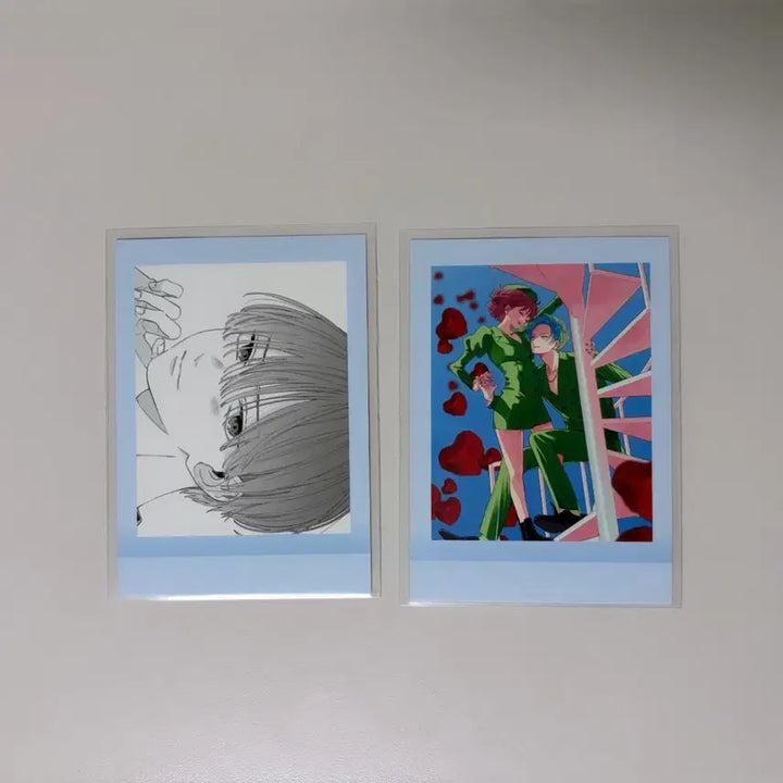 [BUNJANG] Face Only Pasha Pasha Kore Photocard / 얼굴만으론 좋아할 수 없어요 파샤 파샤코레