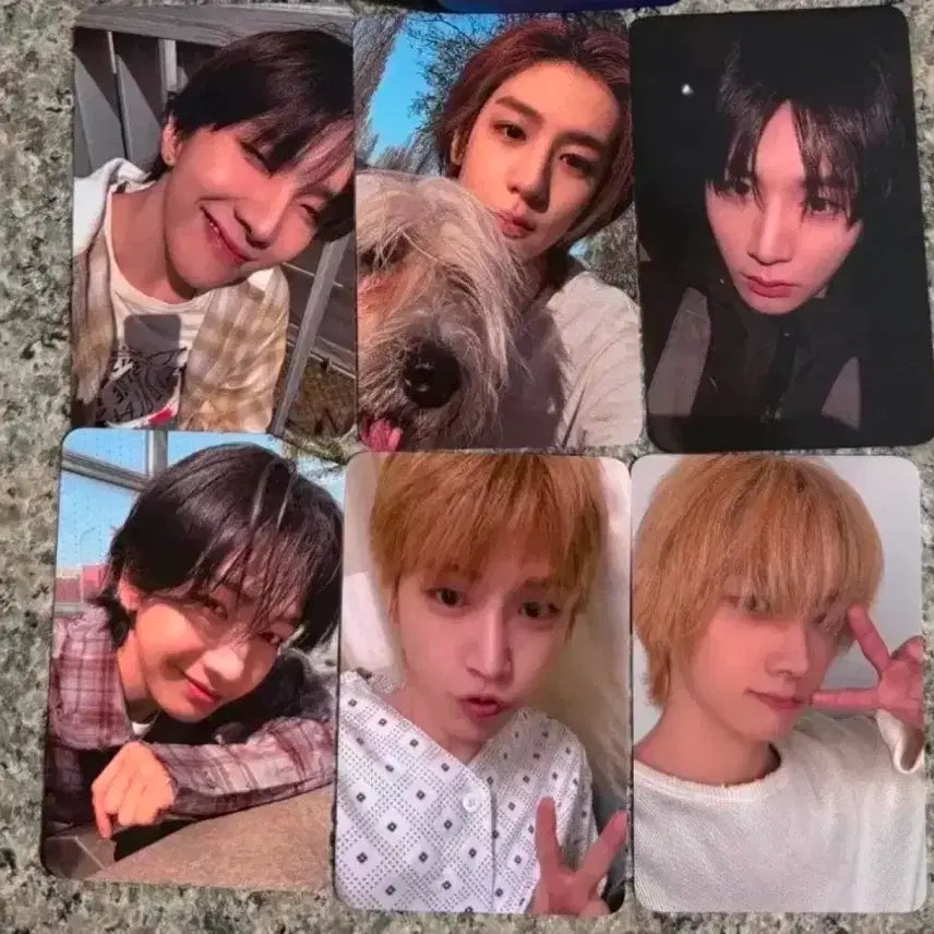 [BUNJANG] BOYNEXTDOOR Showcase Photocard Split Set / 최저가!!)보넥도 쇼케 역조공 포카 분철