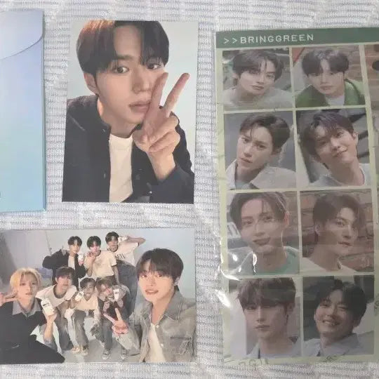 [BUNJANG] Bringgreen ARD ONE Photocard Set / 브링그린 알디원 포카 세트