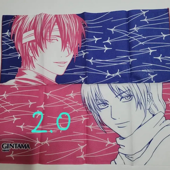 [BUNJANG] Gintama Kamui Fabric Poster Pouch / 은혼 카무이 천 패브릭 포스터 파우치 등