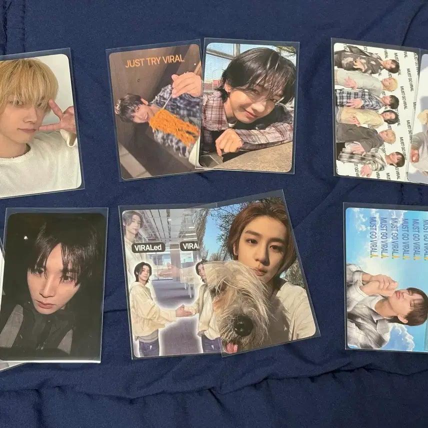 [BUNJANG] BOYNEXTDOOR Showcase Viral Photocard Set / 보넥도 보이넥스트도어 쇼케이스 역조공 바이럴 포카 세트 양도