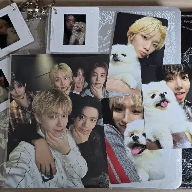 [BUNJANG] BOYNEXTDOOR HOME Album Set (Sealed) / 보이넥스트도어 home 미개봉 앨범 세트