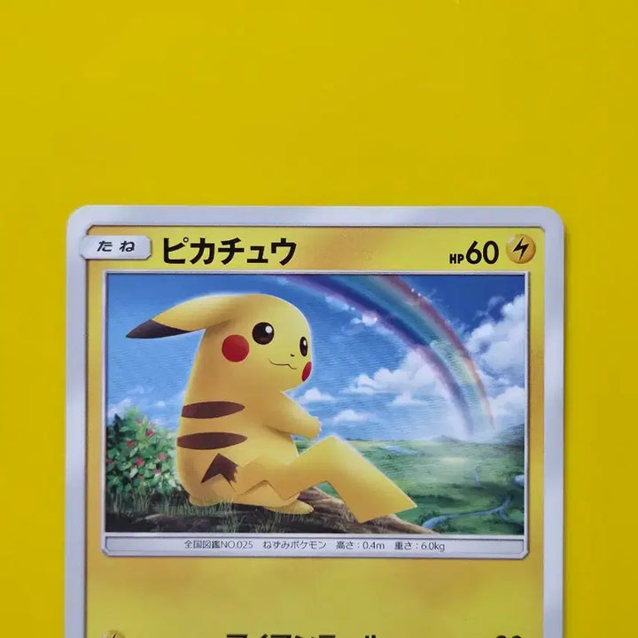 [BUNJANG] Pokemon Card Hikaru No Densetsu Pikachu Japanese Version 1 / 포켓몬카드 히카루의전설 피카츄 일판 일본판 1