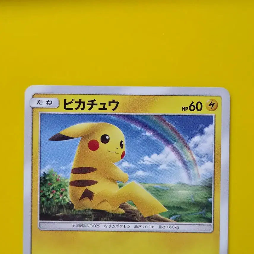 [BUNJANG] Pokémon Card Pikachu Hikaru no Densetsu Japanese Version 2 / 포켓몬카드 히카루의전설 피카츄 일판 일본판 2