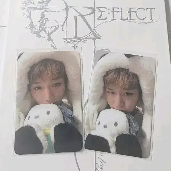[BUNJANG] Park Ji Hoon Reflect Pochaco 2 Types Set / (할인)박지훈 리플렉트 포차코 2종세트