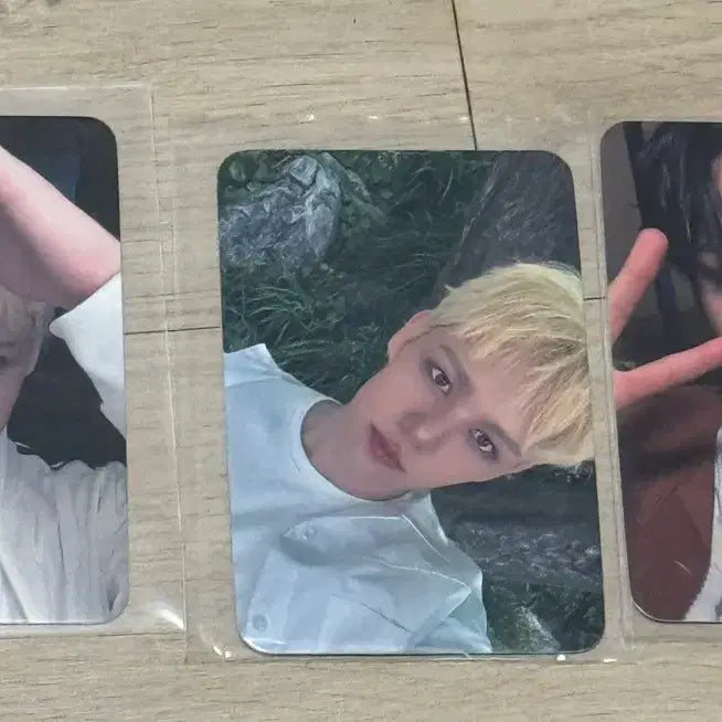 [BUNJANG] AMP Bundle Set Photocard / 에이엠피 포카 일괄양도