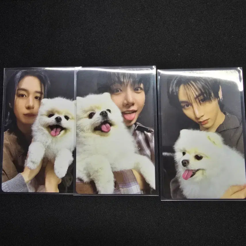 [BUNJANG] BOYNEXTDOOR Photocard / 보이넥스트도어 포카 판매