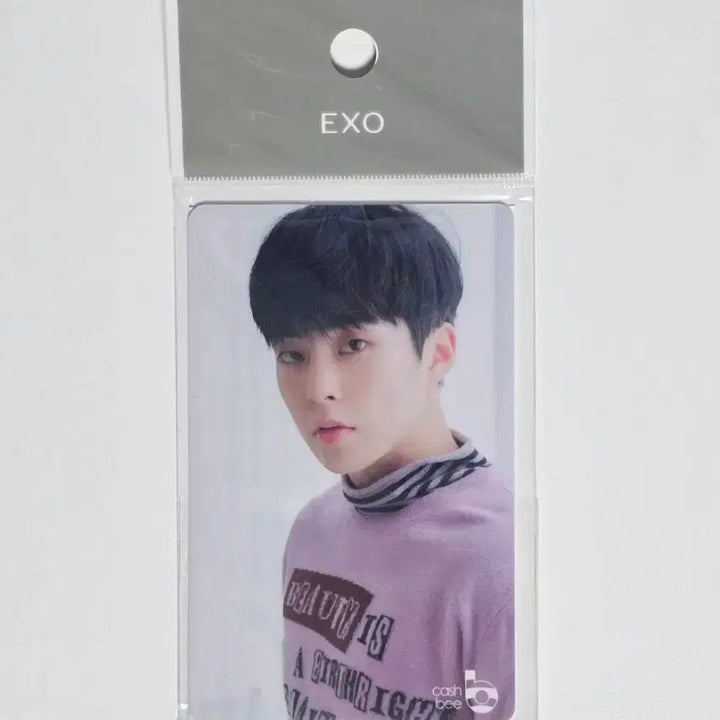 [BUNJANG] EXO Xiumin Cashbee Traffic Card (Sealed) / 엑소 시우민 캐시비 교통카드 미개봉 exo xiumin cashbee