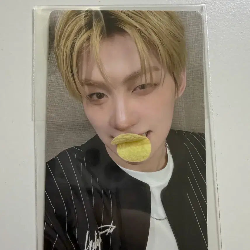 [BUNJANG] TWS Jihoon Mini 5th Album Comeback Live Weverse Ver. POB / 투어스 지훈 미니5집 컴백라이브 위버스반 특전