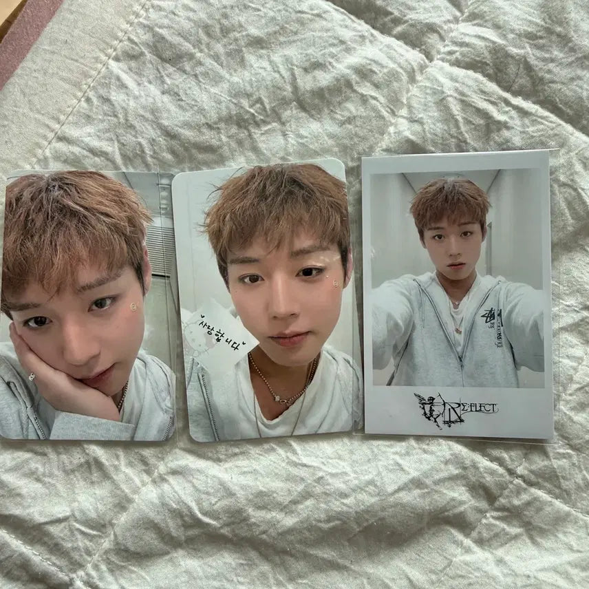 [BUNJANG] Park Jihoon RE:FLECT Fancon Photocard / 박지훈 팬콘서트 MD포카
