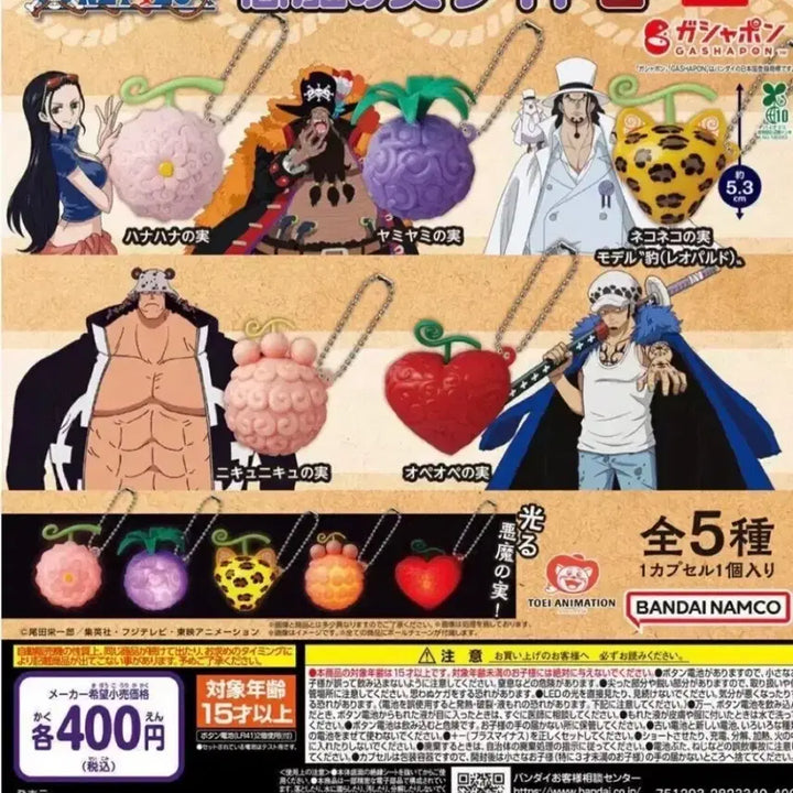 [BUNJANG] One Piece Devil Fruit Flower-Flower Fruit Light / 원피스 악마의 열매 라이트 꽃꽃 열매