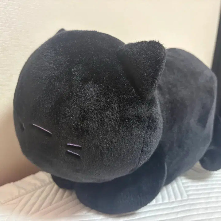 [BUNJANG] Monsta X I.M Changkyun Cat Plush Cushion / 몬스타엑스 아이엠 창균 고양이 인형 쿠션