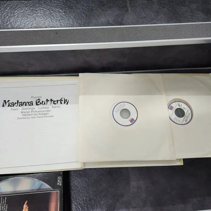 [BUNJANG] Madama Butterfly Puccini LaserDisc / 레이저디스크(2LD)  나비부인 PUCCINI