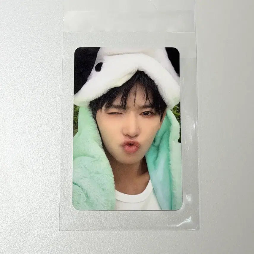 [BUNJANG] Seventeen Jeonghan Official Photocard / 모디세이 이첸 포카 오피크카페 멍멍세이