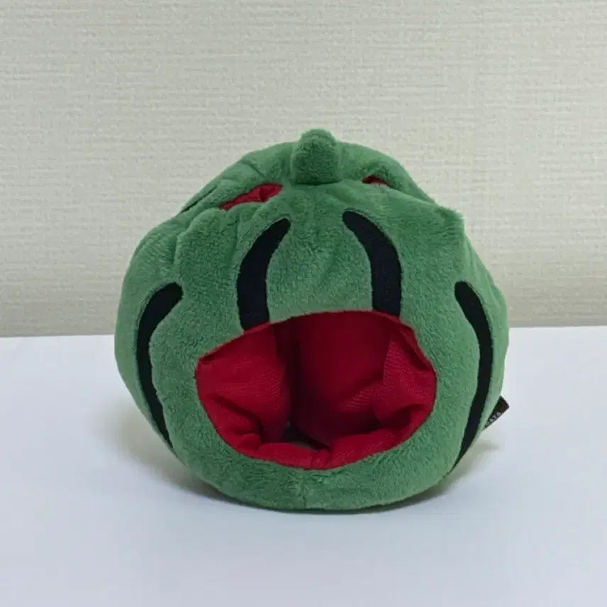 [BUNJANG] Day6 Denimals Watermelon Hat / 데이식스 데니멀즈 수박모자 - Day6 MD