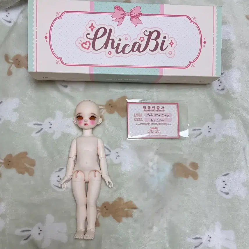 [BUNJANG] Chicabi Cash USD Doll Body / 치카비 캐시 usd 본체 택포