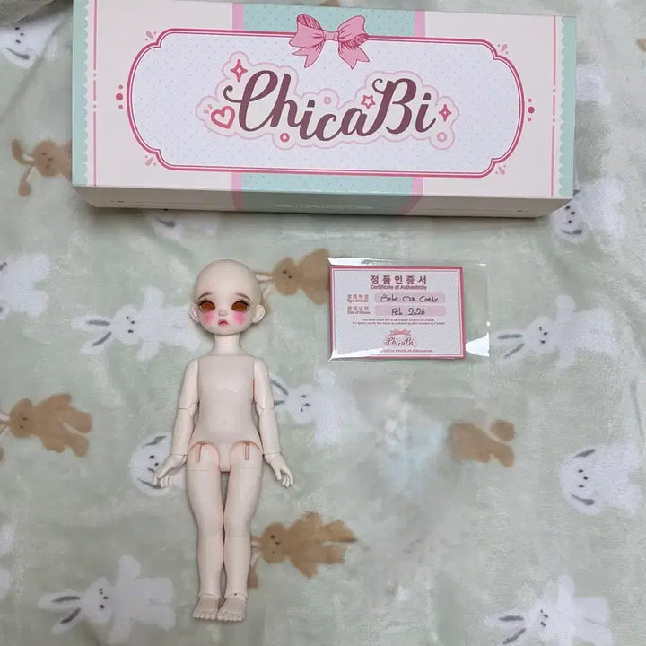 [BUNJANG] Chicabi Cash USD Doll Body / 치카비 캐시 usd 본체 택포