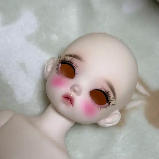 [BUNJANG] Chicabi Cash USD Doll Body / 치카비 캐시 usd 본체 택포