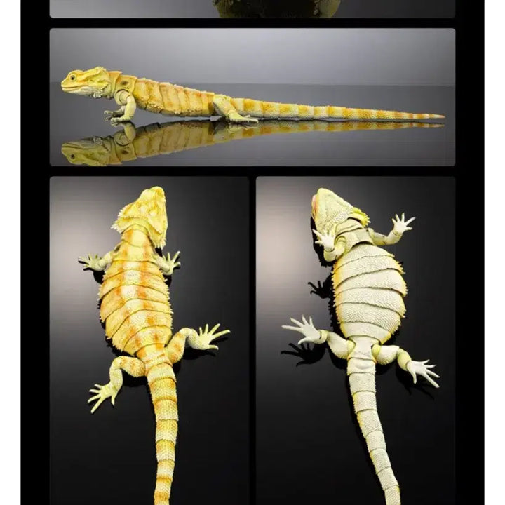 [BUNJANG] Bio Encyclopedia Premium Bearded Dragon Lizard (Yellow) / 생물대도감 프리미엄 비어디드래곤 도마뱀 (옐로우)